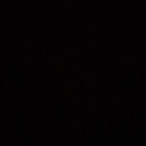 Meet your Posher, Isabel